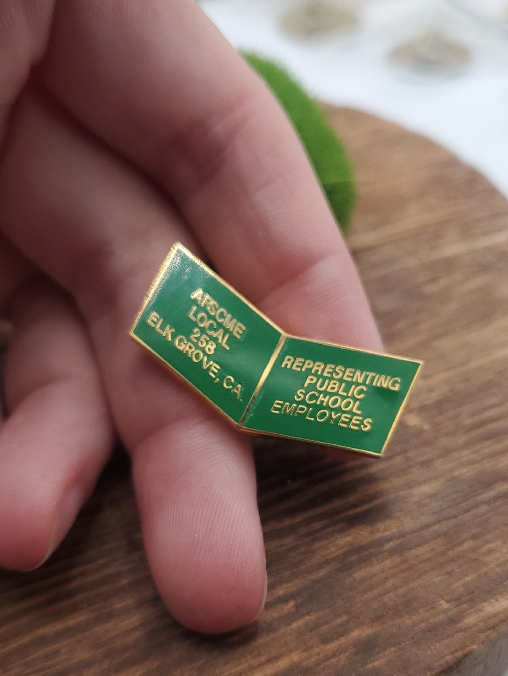 Green Enamel Pin - Representing Public School Employees B468